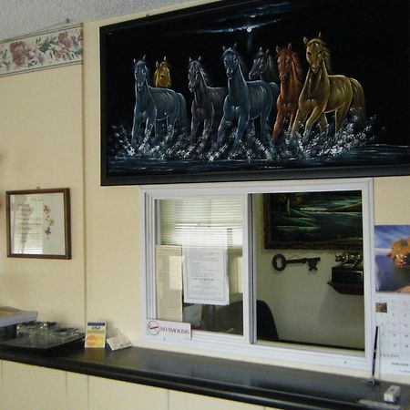 Glenview Motel Дабек Экстерьер фото